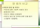 일본의 헌법 13페이지