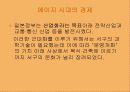 메이지 시대 28페이지