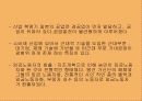 메이지 시대 33페이지