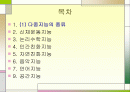 다중지능이론에 대한 고찰 2페이지