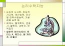다중지능이론에 대한 고찰 5페이지