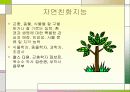 다중지능이론에 대한 고찰 7페이지