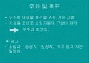 물리현상의 원리 4페이지