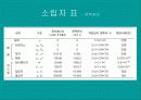 물리현상의 원리 13페이지