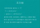 물리현상의 원리 24페이지
