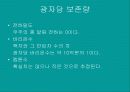 물리현상의 원리 25페이지