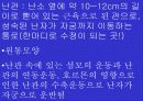 여성의 생식기 5페이지