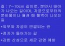여성의 생식기 7페이지