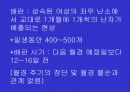 여성의 생식기 8페이지