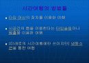 시 간 여 행 의  대 해 서... 3페이지