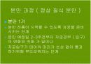 분만에 대해 5페이지