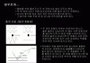 빛에 따른 신비한 현상 9페이지