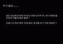빛에 따른 신비한 현상 12페이지