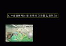 빛에 따른 신비한 현상 15페이지
