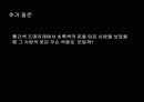 빛에 따른 신비한 현상 18페이지