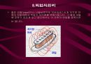 Electric Guitars 8페이지