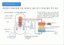 북한 원자력 발전에 대해서 7페이지