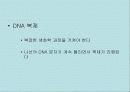 복제인간 9페이지