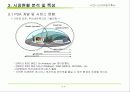 비지니스 아이템 계획서 : 부동산 중개업 PDA서비스(Realtor Helper) 17페이지
