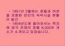 호텔의 발전 19페이지