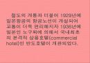 호텔의 발전 21페이지