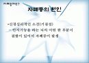 (사회복지실천기술론) 자폐증에 대한 이해와 자폐증 아동의 사례개입 실천사례 (생태도, 가계도 포함)  (2007년 우수 추천 레포트 선정★★★★★) 10페이지