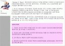 회사재무보고 관행의 발달 10페이지