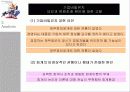 회사재무보고 관행의 발달 12페이지