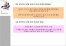 회사재무보고 관행의 발달 13페이지