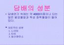 흡연과 알코올의 피해 4페이지