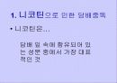 흡연과 알코올의 피해 5페이지