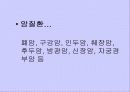 흡연과 알코올의 피해 16페이지