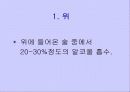 흡연과 알코올의 피해 25페이지