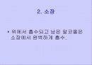 흡연과 알코올의 피해 26페이지