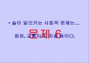 흡연과 알코올의 피해 38페이지