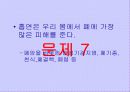 흡연과 알코올의 피해 39페이지