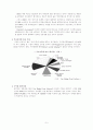 헤지펀드 (Hedge Fund) 연구 9페이지