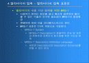멀티미디어와 응용 49페이지