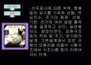 선박설계 11페이지
