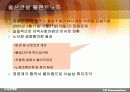 비정규직 노사관계 20페이지