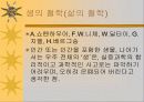 유럽의 철학 38페이지