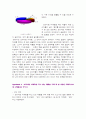 [마케팅] 프리미엄 마케팅 분석 (BMW, 페레로 로쉐) - 프리미엄 마케팅에 대한 소비자의 반응 연구 11페이지