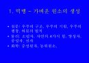 통합과학 교육의 정의 28페이지