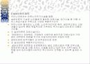 실버타운(실버산업) 전략계획서 3페이지