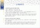 실버타운(실버산업) 전략계획서 9페이지