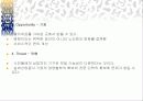 실버타운(실버산업) 전략계획서 11페이지
