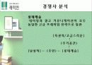 삼성 래미안 마케팅 기획서 (가치 극대화 방안모색) 10페이지