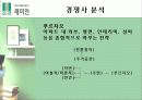 삼성 래미안 마케팅 기획서 (가치 극대화 방안모색) 12페이지