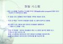 파일시스템과 데이타베이스시스템 17페이지