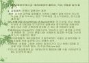 화폐의 개념과 기능 14페이지